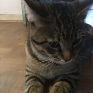 Meet your Posher, Jordin